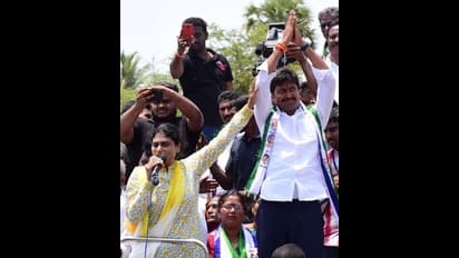 వైఎస్సార్సిపి ప్రచారంలో దూసుకుపోతున్న షర్మిల... దెందులూరులో రోడ్ షో (ఫోటోలు)