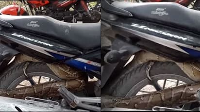 ಬೈಕ್‌ ಸೀಟ್ ಕೆಳಗಡೆ ಹೆಬ್ಬಾವು ಪ್ರತ್ಯಕ್ಷ -  ವೀಡಿಯೋ ವೈರಲ್!