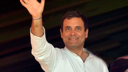 ವಯನಾಡಿನಲ್ಲಿ ಭಾರಿ ಮತಗಳ ಅಂತರದಿಂದ ಗೆದ್ದು ಬೀಗಿದ ರಾಹುಲ್ ಗಾಂಧಿ!