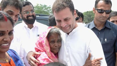 ಕಾಂಗ್ರೆಸ್ ಅಧ್ಯಕ್ಷ ರಾಹುಲ್ ಗಾಂಧಿ ಆಸ್ತಿ ವಿವರ ಬಹಿರಂಗ