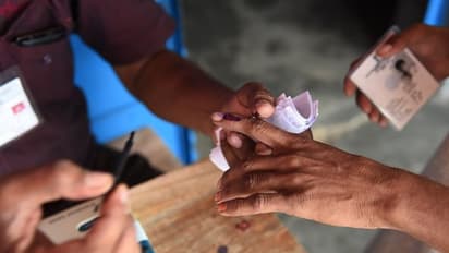 Lok Sabha election 2019 pits two of India's finest Olympians against each other