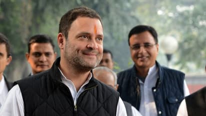 Dear Indian voter, this is how dangerous Rahul Gandhi's NYAY gimmick is