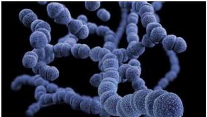 Kerala: 6 year-old-boy dies of diphtheria; health department to conduct awareness campaign