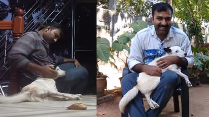 ദയാവധം നല്കാനെത്തിയ ഡോക്ടര് ചോദിച്ചു, 'കൊല്ലാന് വയ്യാ, ഈ പട്ടിയെ ഞാന് കൊണ്ടു പോകട്ടേ?'