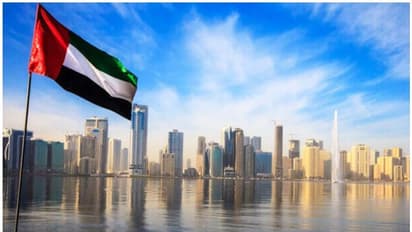 പാകിസ്ഥാനില് ഒരു ബില്യണ് ഡോളര് നിക്ഷേപത്തിനൊരുങ്ങി യുഎഇ