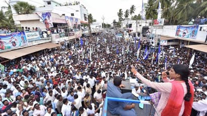 షర్మిల ఎన్నికల ప్రచారం (ఫోటోలు)