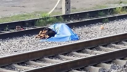 ರೈಲು ಅಪಘಾತದಲ್ಲಿ ಮಾಲೀಕ ನಿಧನ: ಶವ ಬಿಟ್ಟು ಕದಲದ ನಾಯಿ!: ವಿಡಿಯೋ ವೈರಲ್