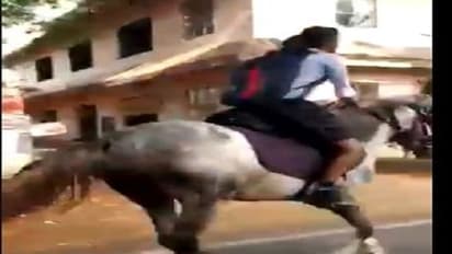 ಕುದುರೆ ಏರಿ ಎಕ್ಸಾಂಗೆ ಬಂದ ವಿದ್ಯಾರ್ಥಿನಿ, ವಿಡಿಯೋ ವೈರಲ್