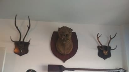 कमलनाथ के ओएसडी के करीबी के घर जब छापेमारी के लिए पहुंची आयकर टीम तो वहां का सामान देखकर खुली रह गई आंखें