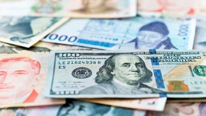 अमेरिका ने भारत को करेंसी मॉनिटरिंग लिस्ट से बाहर निकाला