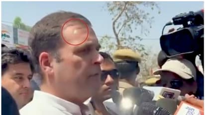 രാഹുല്‍ഗാന്ധിക്കെതിരെ വധശ്രമമെന്ന് പരാതി; തലയില്‍ ഏഴ് തവണ ലേസര്‍ രശ്മി പതിച്ചു