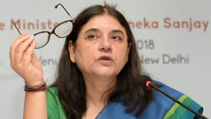 ಲೋಕಸಭೆ ಹಂಗಾಮಿ ಸ್ಪೀಕರ್ ಆಯ್ಕೆ: ಮನೇಕಾ ಗಾಂಧಿಗೆ ನಿರಾಸೆ..!