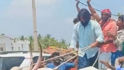 ಅಂಬಲವಾಡಿಯಲ್ಲಿ ಜೋಡೆತ್ತುಗಳನ್ನು ಓಡಿಸಿದ ಯಶ್!