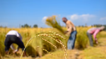 How Modi govt fixed UPA-era food inflation mess