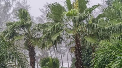 ರಾಜ್ಯದಲ್ಲಿ ಭಾರೀ ಮಳೆ ಮುನ್ಸೂಚನೆ : ಬೆಳಗ್ಗೆ ಬೇಗ ಮತದಾನ ಮಾಡಿ