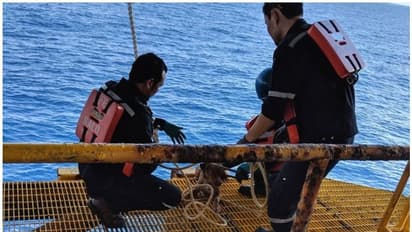 നടുക്കടലില് അകപ്പെട്ട നായ്ക്കുട്ടിയുമായി കരയിലേക്ക് 220 കി.മി യാത്ര; രക്ഷാപ്രവര്ത്തകര്ക്ക് കയ്യടിച്ച് ലോകം