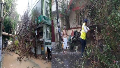 ಬೆಂಗಳೂರಿನ ಹಲವೆಡೆ ಗುಡುಗು ಸಹಿತ ಭಾರೀ ಮಳೆ: ಮರ ಬಿದ್ದು ಬೈಕ್ ಸವಾರ ಸಾವು