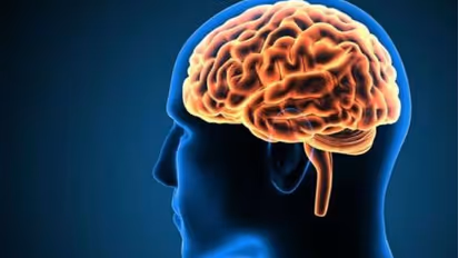 Did you know, people who play drums have different brain function? Read this