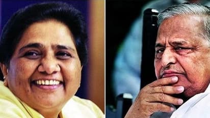 यादव गढ़ में 'गेस्ट हाउस कांड' के लिए माया से माफी मांगेगे मुलायम?