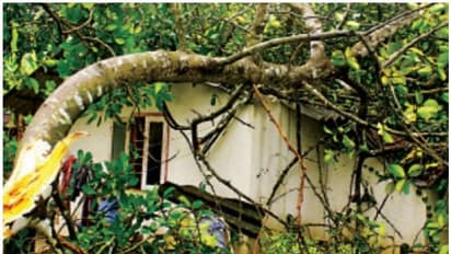 హైదరాబాద్ లో గాలి వాన బీభత్సం, ఒకరు మృతి