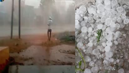 తెలంగాణలో వడగళ్ల వాన బీభత్సం...భారీగా పంట నష్టం (వీడియో)