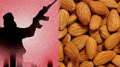 కశ్మీర్లో ఉగ్రవాదానికి మూలం ‘‘బాదం‘’