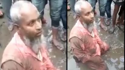 খাওয়ানো হল শুয়োরের মাংস! বিজেপি শাসিত রাজ্য়ে ফের গণপিটুনির শিকার মুসলিম বৃদ্ধ