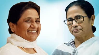 মমতার মতো মায়াবতীও অবিবাহিত, অবশেষে ফাঁস হল রহস্য