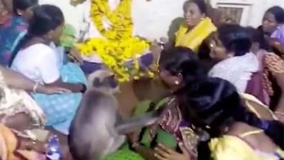 భుజంపై చేయి వేసి, తల నిమిరి: చావింట్లో కోతి ఓదార్పులు