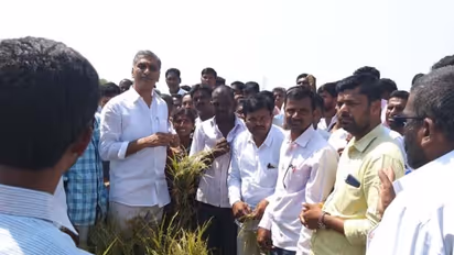 దెబ్బతిన్న పంటలను పరిశీలించిన హరీశ్ రావు (వీడియో)
