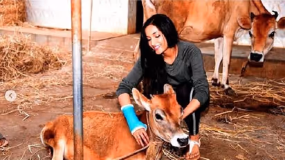 ಶ್ರೀನಿಧಿ ಶೆಟ್ಟಿ ಕೈಗೆ ಪೆಟ್ಟು; ಕೆಜಿಎಫ್ 2 ನಲ್ಲಿ ನಟಿಸ್ತಾರಾ?