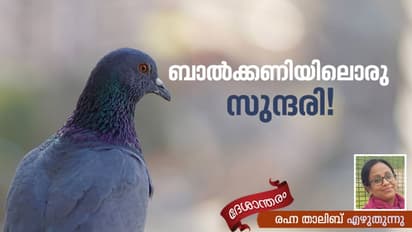 ദേശാടനക്കിളി വിടപറയാറില്ല!