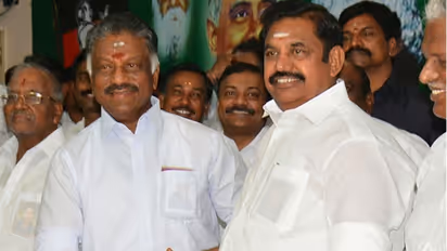 Tamil Nadu by-polls: AIADMK leaders thank people for voting for them