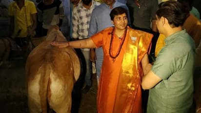 ഗോമൂത്രമല്ല, ശസ്ത്രക്രിയയാണ്; പ്രഗ്യ സിംഗിന്റെ വാദം തള്ളി ഡോക്ടർമാർ