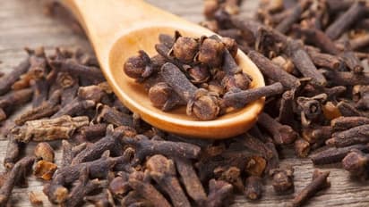 Sperm Count Increase: ವೀರ್ಯ ಸಂಖ್ಯೆ ಹೆಚ್ಚಲು ಬಳಸಿ ಈ ಪುಟಾಣಿ ಲವಂಗ
