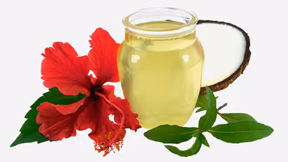 മുടി കൊഴിച്ചിൽ തടയാൻ ചെമ്പരത്തി; ഉപയോഗിക്കേണ്ട വിധം...