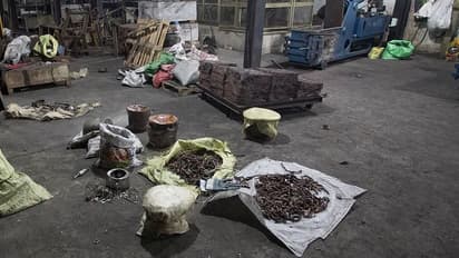 75 ஏக்கர் தென்னந்தோப்பில் வெடிகுண்டு ஆலை!! தீவிரவாதிகளுக்கு பயிற்சி... கொலை நடுங்க வைக்கும் பயங்கரம்...