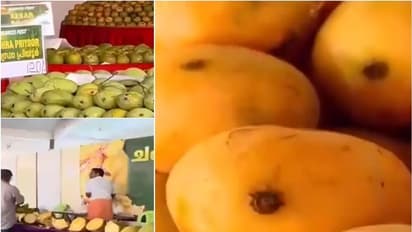 ಈ ಸಲ ಮಾವಿನ ಬೆಳೆಯೂ ಇಲ್ಲ, ಬೆಲೆಯೂ ಇಲ್ಲ!