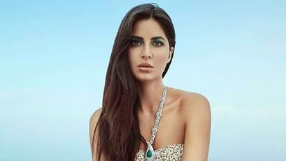 कैटरीना कैफ के फैंस के लिए खुशखबरी, 2019-2020 में रिलीज होगी इतनी फिल्में