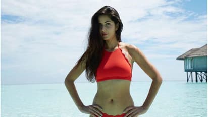 ক্যাট-রণবীরের প্রেমে বিচ্ছেদের পেছনে রহস্য, সলমন-দীপিকার ছকেই কি সম্পর্কের পতন