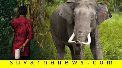 ಬಯಲು ಶೌಚ ಮಾಡುತ್ತಿದ್ದ ರೈತನನ್ನು 50 ಮೀಟರ್ ದೂರ ಒಯ್ದು ಎಸೆದ ಆನೆ!