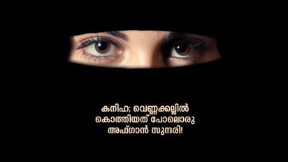 അവള് അഫ്ഗാനിസ്ഥാനിലേക്ക് മടങ്ങി...