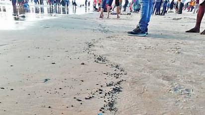 ಕಡಲತಡಿಗೆ ತೇಲಿ ಬರುತ್ತಿದೆ ವಿಷಕಾರಿ ‘ತೈಲ’ ಡಾಂಬರು!