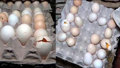 ಹೊಸಕೋಟೆ: ಸರ್ಕಾರಿ ಶಾಲೆಯಲ್ಲಿ ಕೊಳೆತ ಮೊಟ್ಟೆ ತಿಂದು 8 ಮಕ್ಕಳು ಅಸ್ವಸ್ಥ