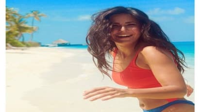 বলিউডে নতুন লাভস্টোরি, ক্যাটরিনার সঙ্গে ভিকির ঘনিষ্ঠতা নিয়ে তুমুল জল্পনা