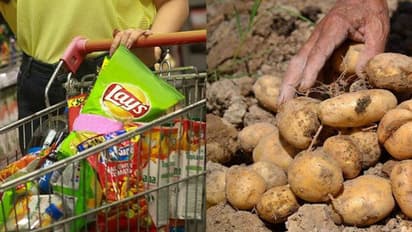 ലെയ്സ് ഉരുളക്കിഴങ്ങ് കേസ്: കോടതിക്ക് പുറത്ത് പ്രശ്ന പരിഹാരത്തിന് തയ്യാറായി പെപ്സികോ