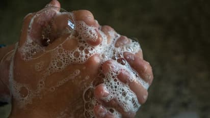 হ্যান্ড স্যানিটাইজার নয়, সাবানই করোনা প্রতিরোধে সবচেয়ে কার্যকরী অস্ত্র, কেন জানেন