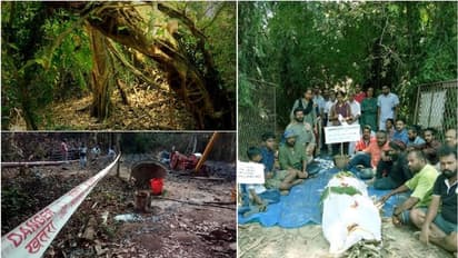 'ശാന്തിവനം സംരക്ഷിക്കണം'; സമരം ഏറ്റെടുത്ത് സാംസ്കാരിക പ്രവർത്തകർ