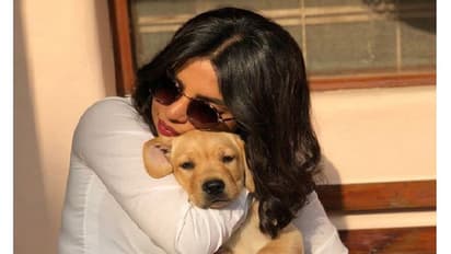 যৌন নিপিড়ন নিয়ে নিজের অভিজ্ঞতা শেয়ার করলেন বলিউড তারকা প্রিয়াঙ্কা চোপড়া