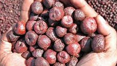 ಅಡಕೆ ದರದಲ್ಲಿ ಭರ್ಜರಿ ಏರಿಕೆ